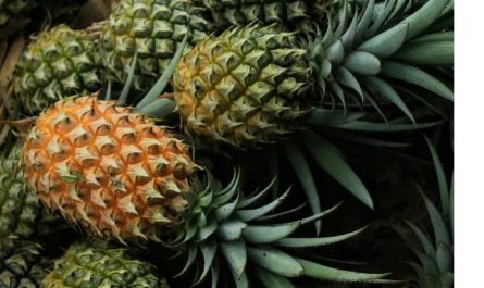 Dreaming of Pineapple : 11 meanings and symbols