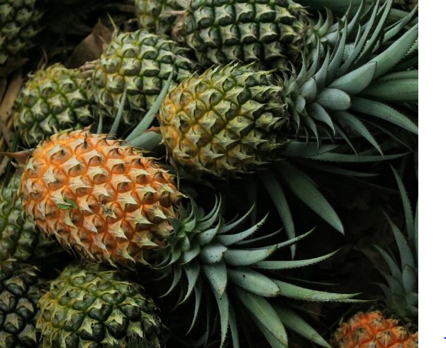 Dreaming of Pineapple : 11 meanings and symbols