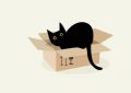 Dreaming of a Black Cat : 12 meanings and symbols