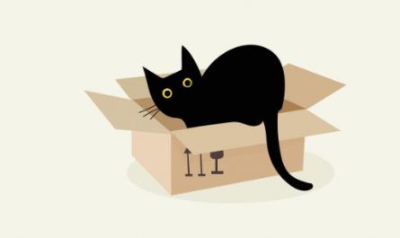 Dreaming of a Black Cat : 12 meanings and symbols