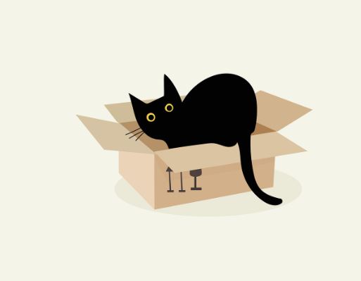 Dreaming of a Black Cat : 12 meanings and symbols