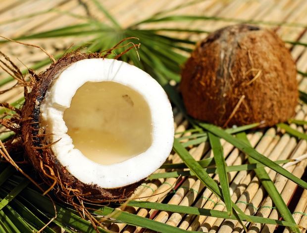 Dreaming of Coconuts : 8 meanings and symbols