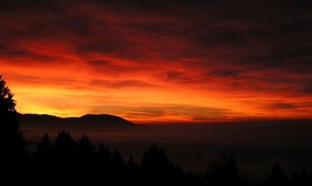 Dreaming of Night : 12 meanings and symbols