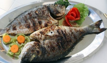 Dreaming of Fish : 7 meanings and symbols