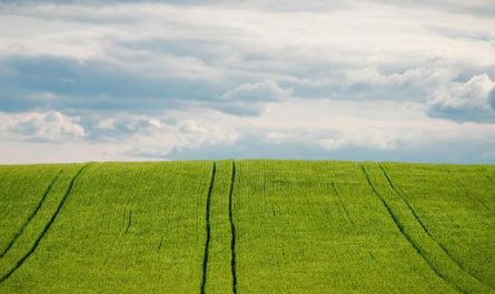 Dreaming of Fields : 17 meanings and symbols
