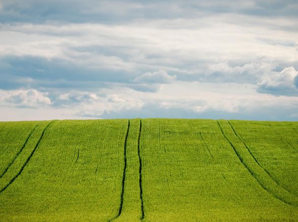 Dreaming of Fields : 17 meanings and symbols