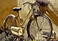 Dreaming of a Bicycle : 12 meanings and symbols