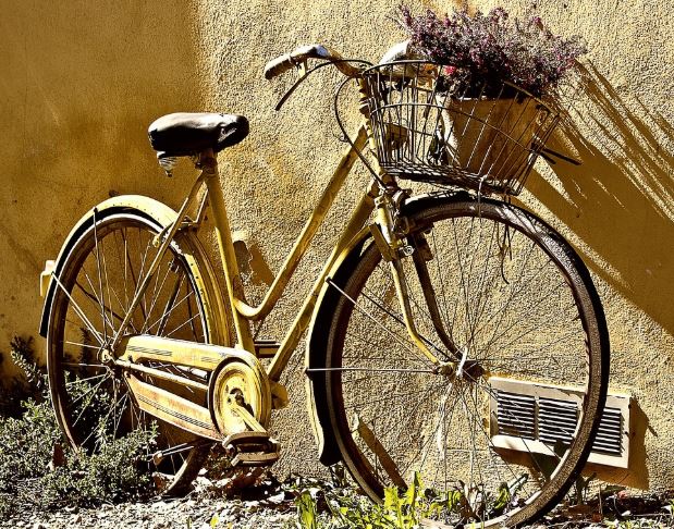 Dreaming of a Bicycle : 12 meanings and symbols