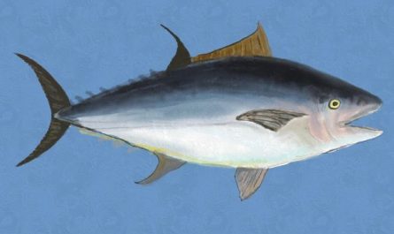 Dreaming of Tuna : 12 meanings and symbols