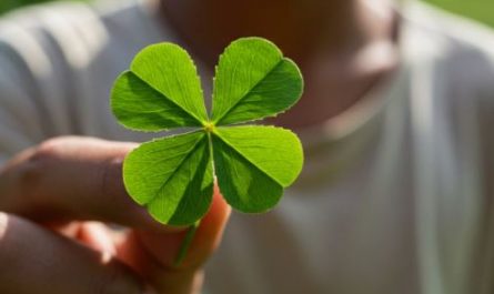 Dreaming of a Four-Leaf Clover: 9 Meanings and Symbolisms