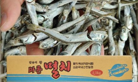 Dreaming of Anchovies: 8 Meanings and Symbolisms