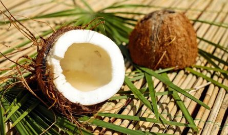 Dreaming of Coconuts: 14 Meanings and Symbolisms
