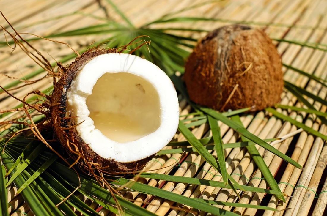 Dreaming of Coconuts: 14 Meanings and Symbolisms