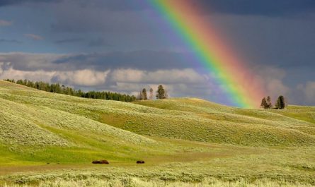 Dreaming of a Rainbow: 13 Meanings and Symbolisms