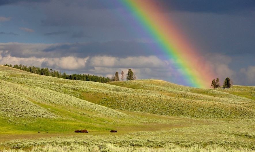 Dreaming of a Rainbow: 13 Meanings and Symbolisms