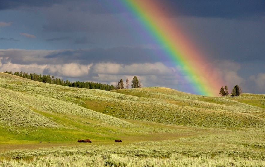 Dreaming of a Rainbow: 13 Meanings and Symbolisms