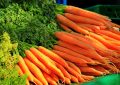 Dreaming of Carrots: 15 Meanings and Symbolisms