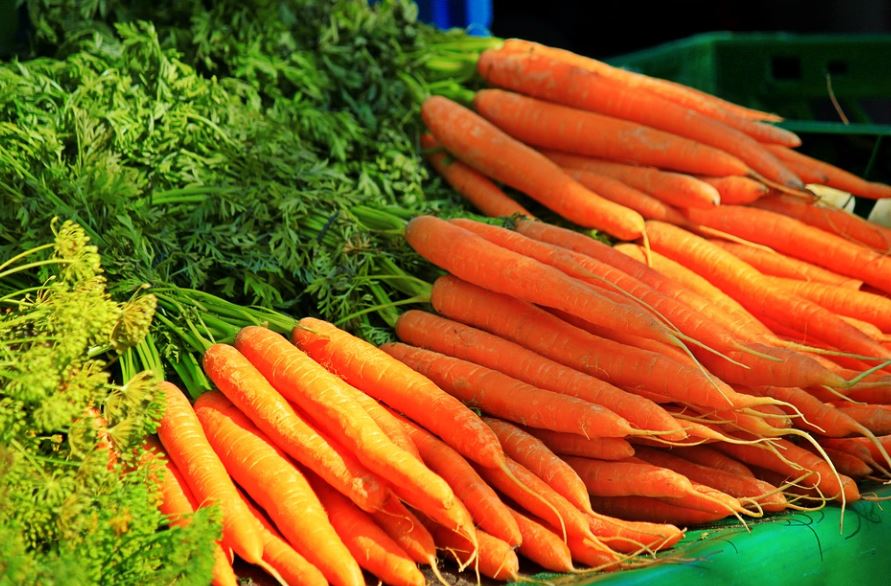 Dreaming of Carrots: 15 Meanings and Symbolisms