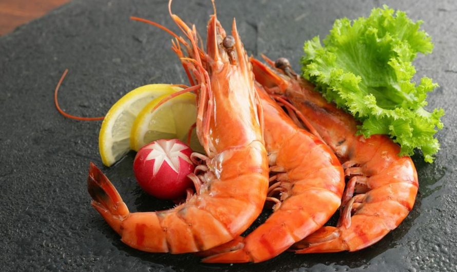 Dreaming of Shrimp: 5 Meanings and Symbolisms
