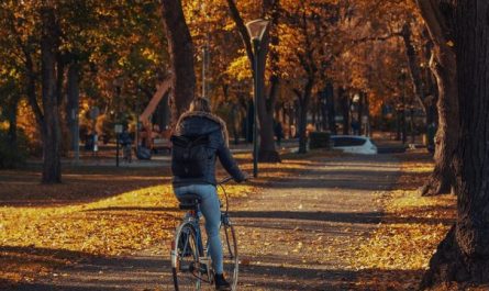 Dreaming of Riding a Bike: 11 Meanings and Symbolisms