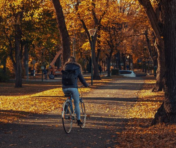 Dreaming of Riding a Bike: 11 Meanings and Symbolisms