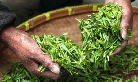Dreaming of Harvesting: 10 Meanings and Symbolisms