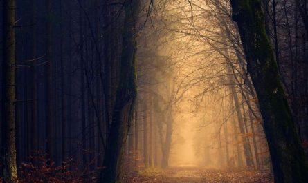 Dreaming of Secrets: 8 Meanings and Symbolisms