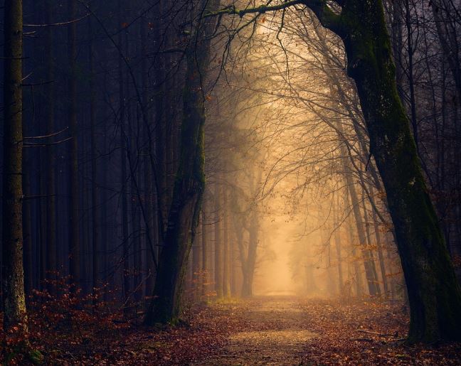 Dreaming of Secrets: 8 Meanings and Symbolisms