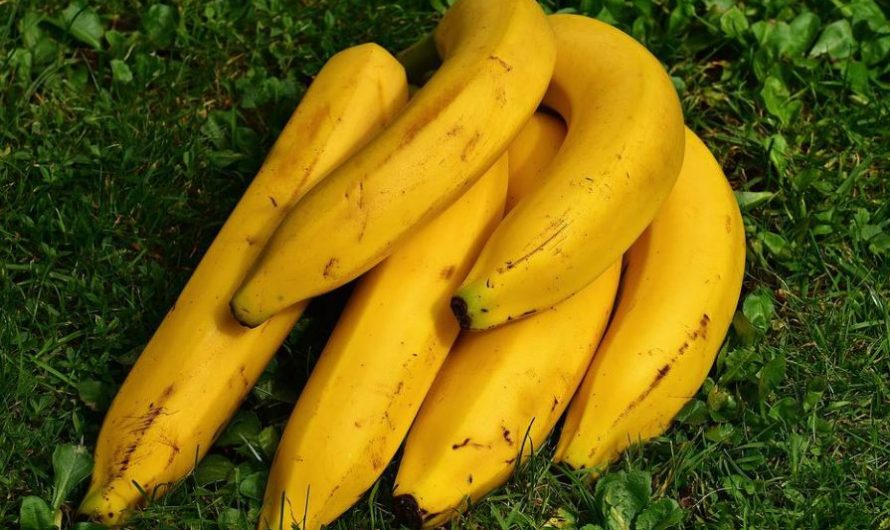 Dreaming of Bananas: 16 Meanings and Symbolisms