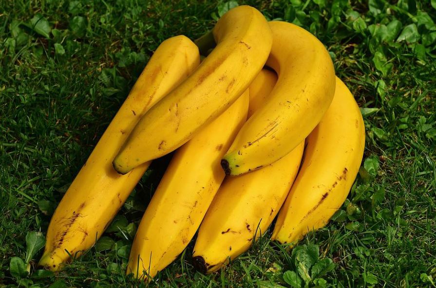Dreaming of Bananas: 16 Meanings and Symbolisms