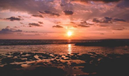 Dreaming of the Sun: 8 Meanings and Symbolisms