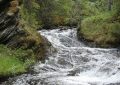 Dreaming of Flowing Water: 11 Meanings and Symbolisms
