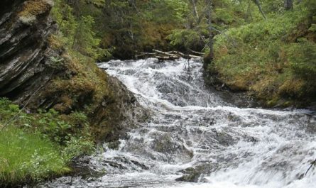 Dreaming of Flowing Water: 11 Meanings and Symbolisms