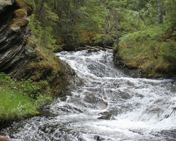 Dreaming of Flowing Water: 11 Meanings and Symbolisms
