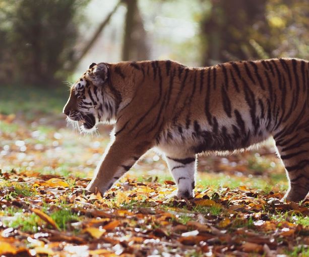 Dreaming of Eating: 16 Meanings and Symbolisms