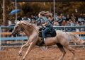 Dreaming of Riding: 8 Meanings and Symbolisms