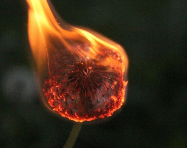 Dreaming of Burns: 12 Meanings and Symbolisms