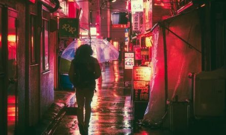 Dreaming of the Street