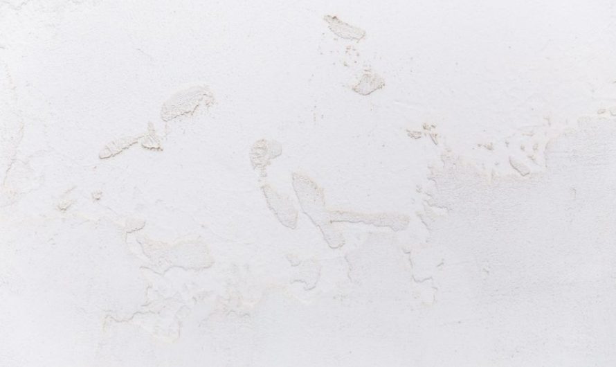 Dreaming of white : 12 Meanings and Symbolisms