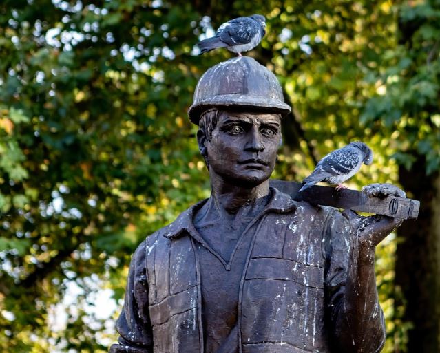 Dreaming of bird droppings : 8 Meanings and Symbolisms