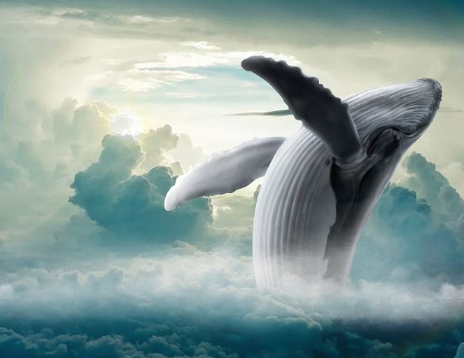 Dreaming of Being Eaten : 12 Meanings and Symbolisms