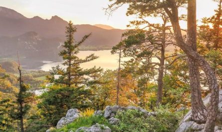 Dreaming of wonderfulness : 10 Meanings and Symbolisms