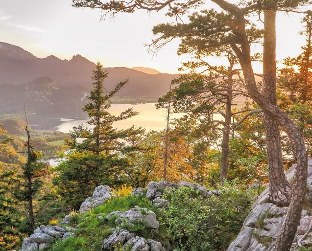 Dreaming of wonderfulness : 10 Meanings and Symbolisms