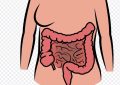 Dreaming of internal organs : 8 Meanings and Symbolisms