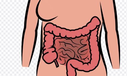 Dreaming of internal organs : 8 Meanings and Symbolisms
