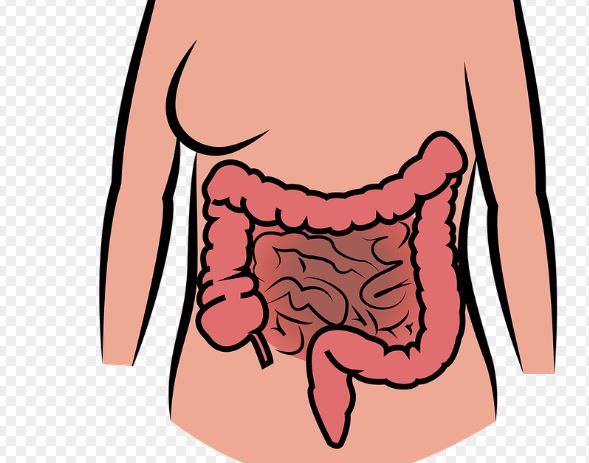 Dreaming of internal organs : 8 Meanings and Symbolisms