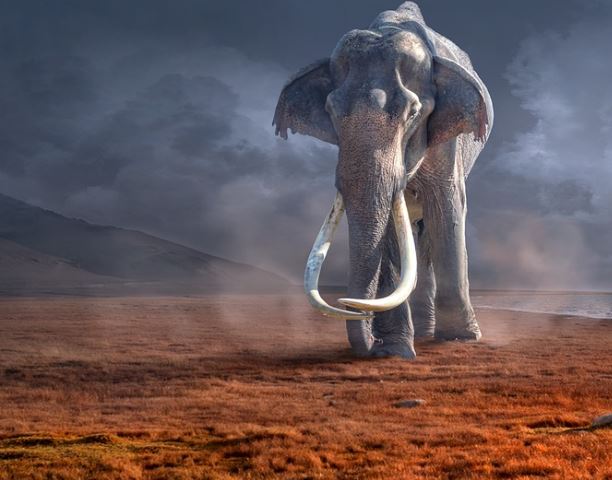 Dreaming of Giants